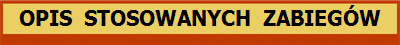 OPIS  STOSOWANYCH  ZABIEG�W