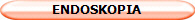 ENDOSKOPIA