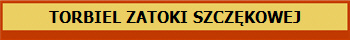 TORBIEL ZATOKI SZCZ�KOWEJ