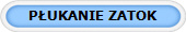 P?UKANIE ZATOK
